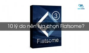 10 lý do nên lựa chọn Flatsome để thiết kế website