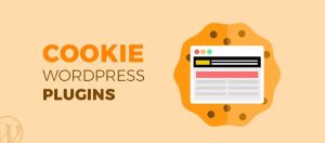 plugin wordpress cookies
